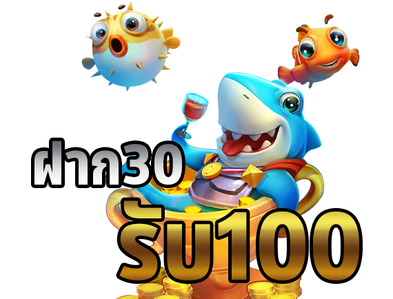 ฝาก 30 รับ100